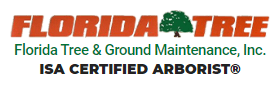 Florida Tree & Ground Maintenance