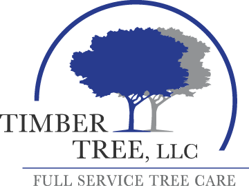 Timber Tree