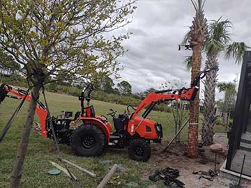 Port Charlotte Tree Service.